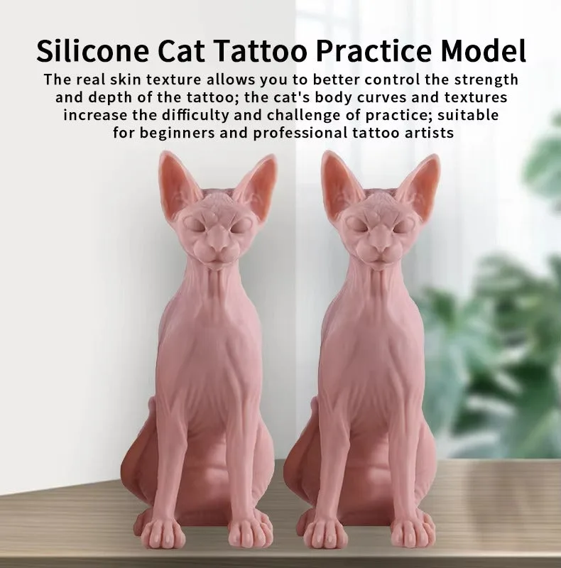 modèle 3D d'entraînement en silicone - image 5