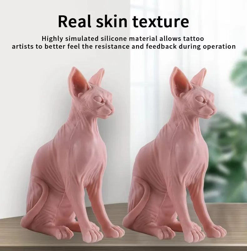 modèle 3D d'entraînement en silicone - image 6