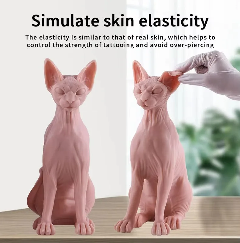 modèle 3D d'entraînement en silicone - image 7