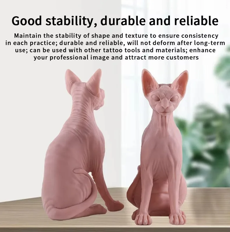 modèle 3D d'entraînement en silicone - image 8